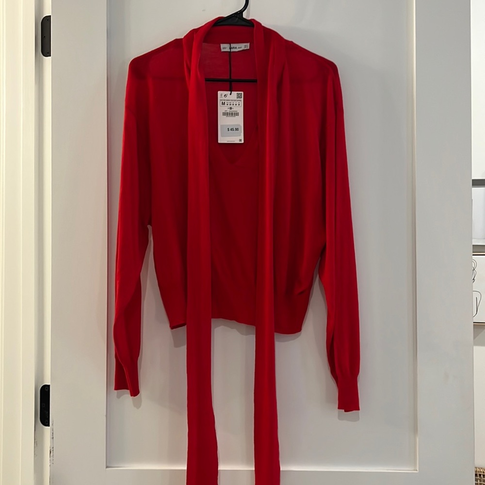 NWT Zara Sweater